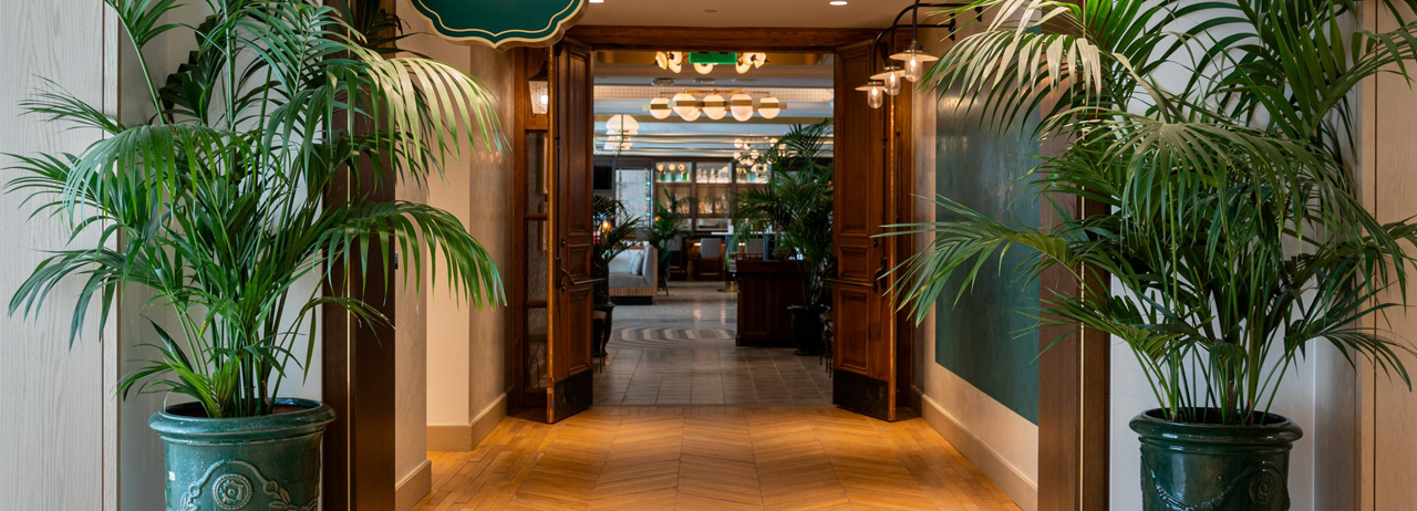 Valentine's At The Century Plaza 3